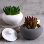 Teapot Jar with Lid Silicone Molds Set