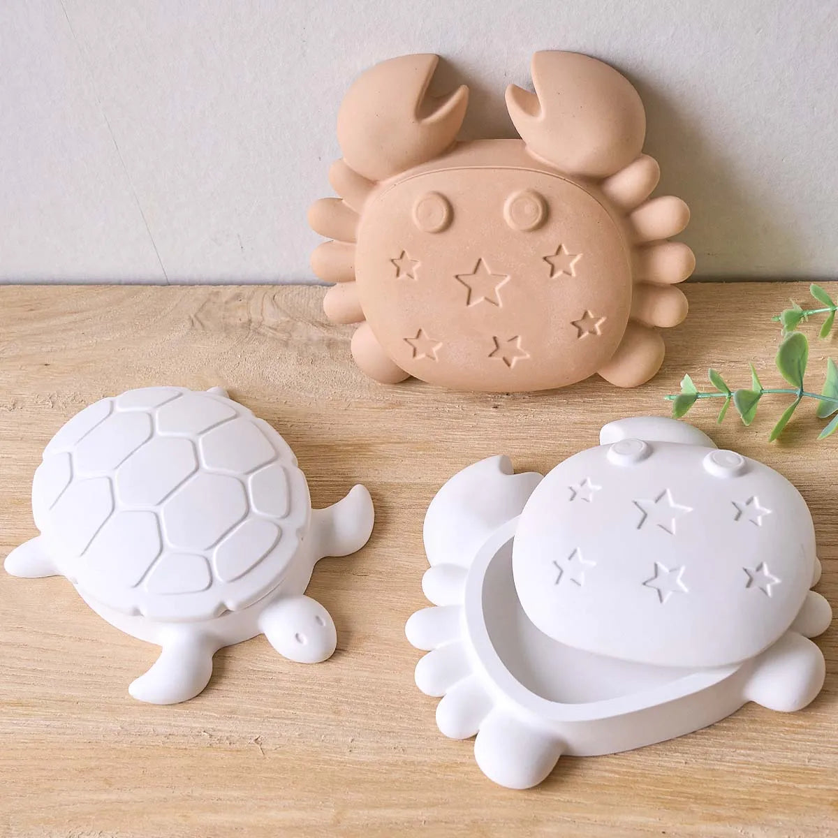 Cariva Shell Box Silicone Mold