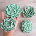 Succulent Candle Silicone Mold Series