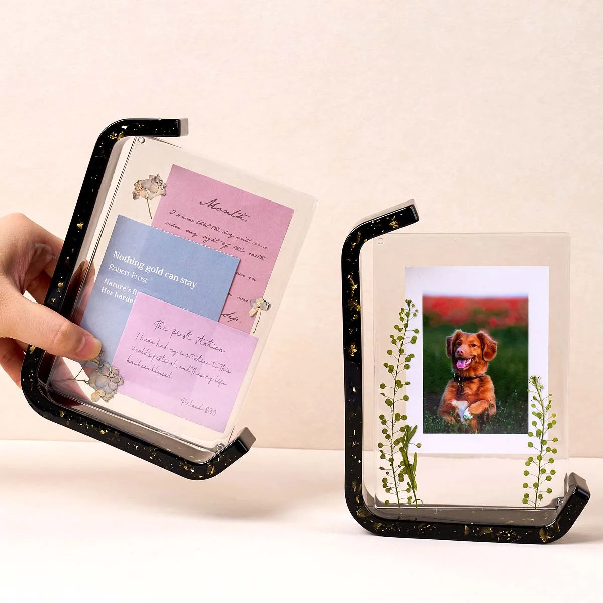 Sculpted Memory Silicone Frame Molds Set