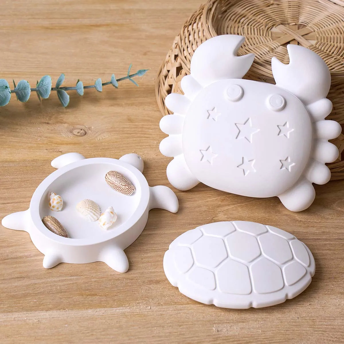 Cariva Shell Box Silicone Mold