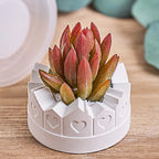 Heartkeep Castle Jar Silicone Mold