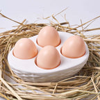 Easter Woven Egg Tray Silicone Mold