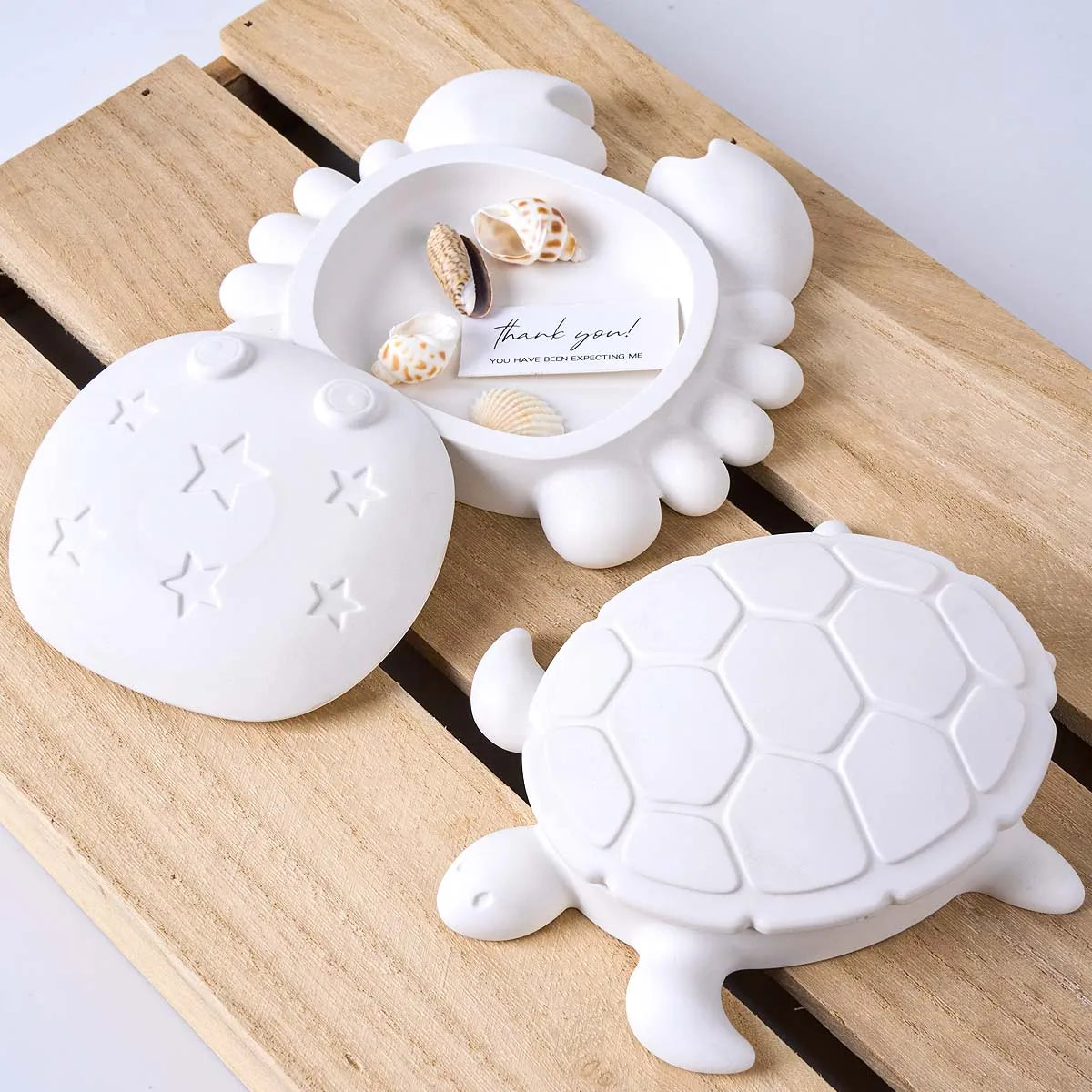 Cariva Shell Box Silicone Mold