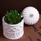 Sahra Reverie Cylindrical Jar Mold Set