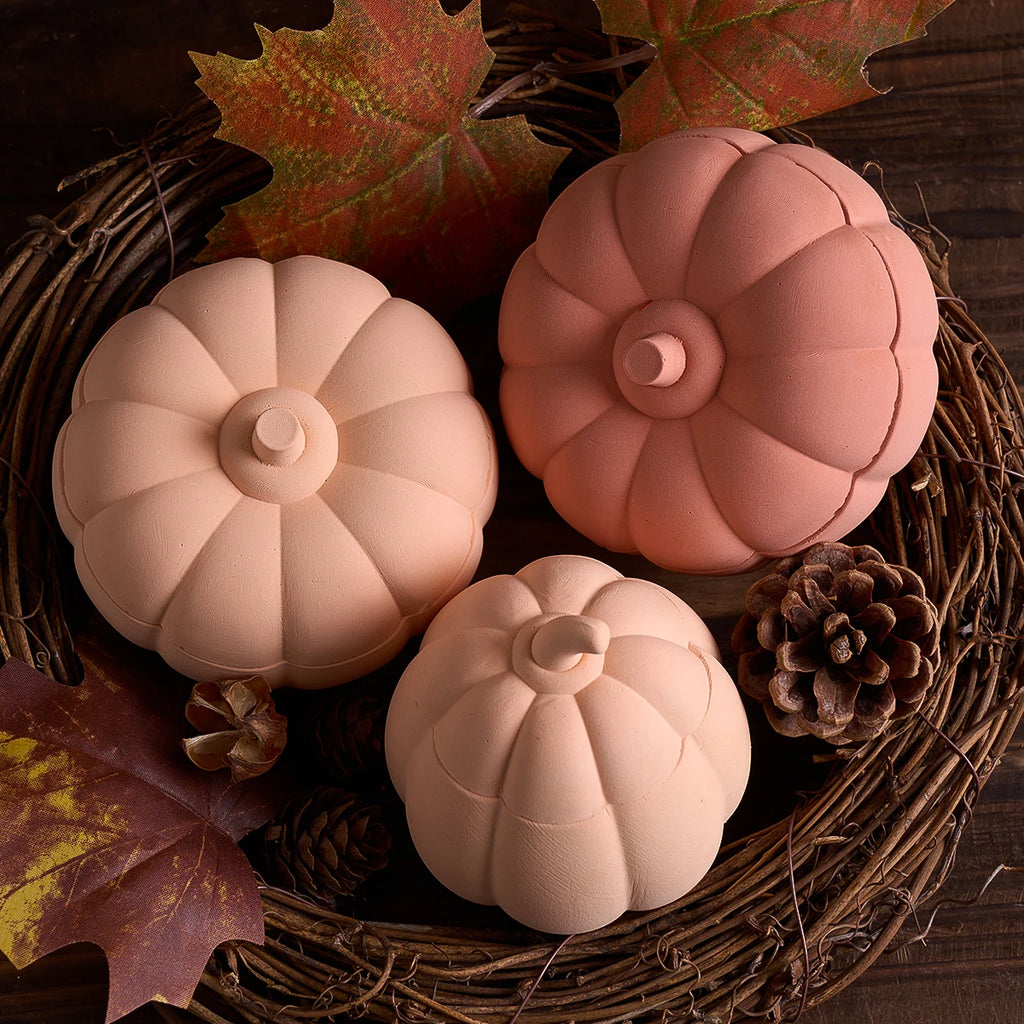 Pumpkin Jar Silicone Mold with Lid