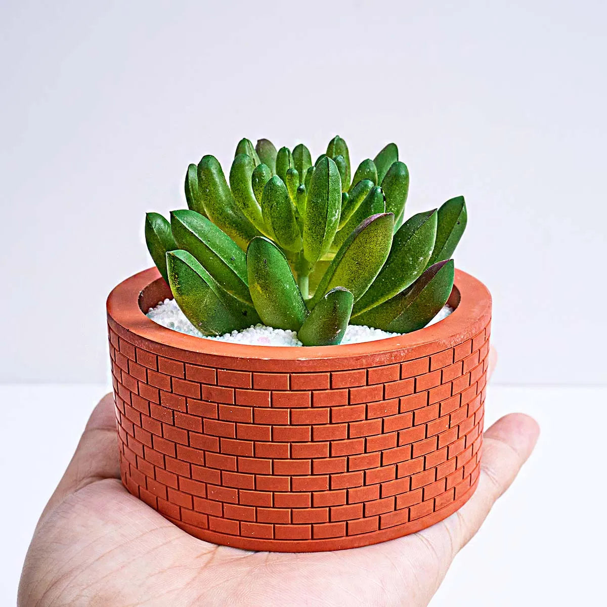 Textured Round Silicone Jar Mold